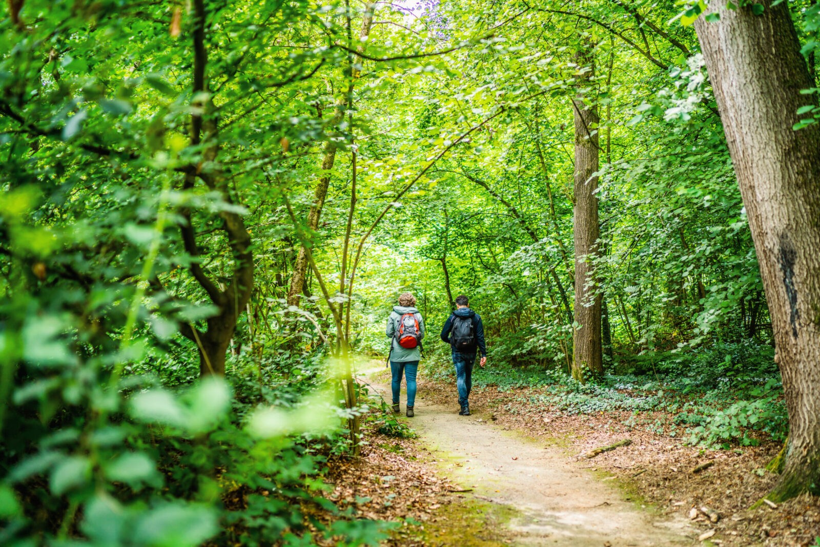 Twee wandelaars wandelen via hubs door een bos.